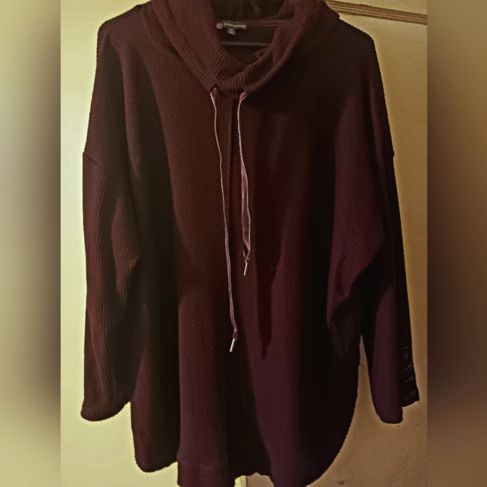 Brand new Democracy 2x crop sweater in plum color